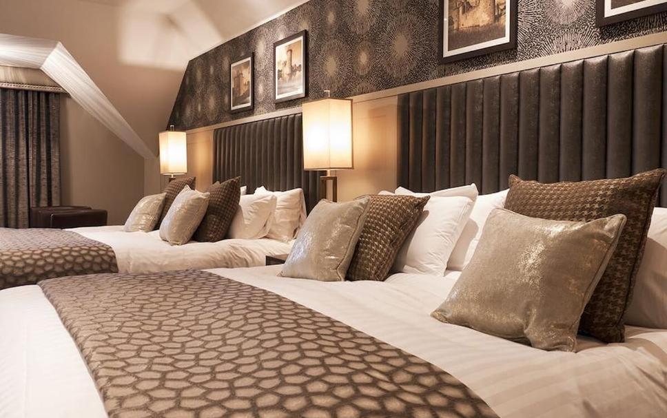 Hotel Tulip Near Delhi Airport Νέο Δελχί Δωμάτιο φωτογραφία